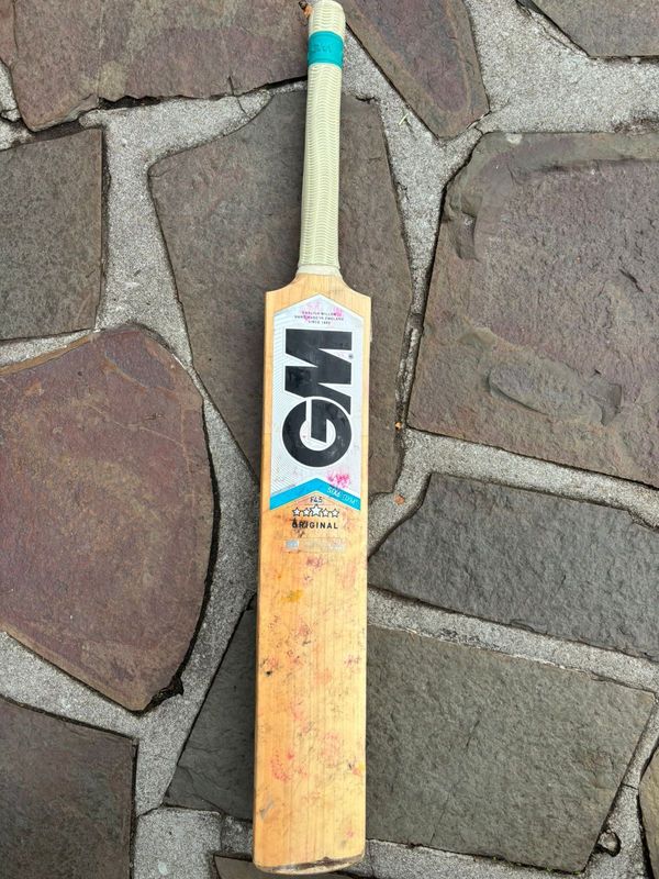 Gunn &amp; Moore Cricket Bat