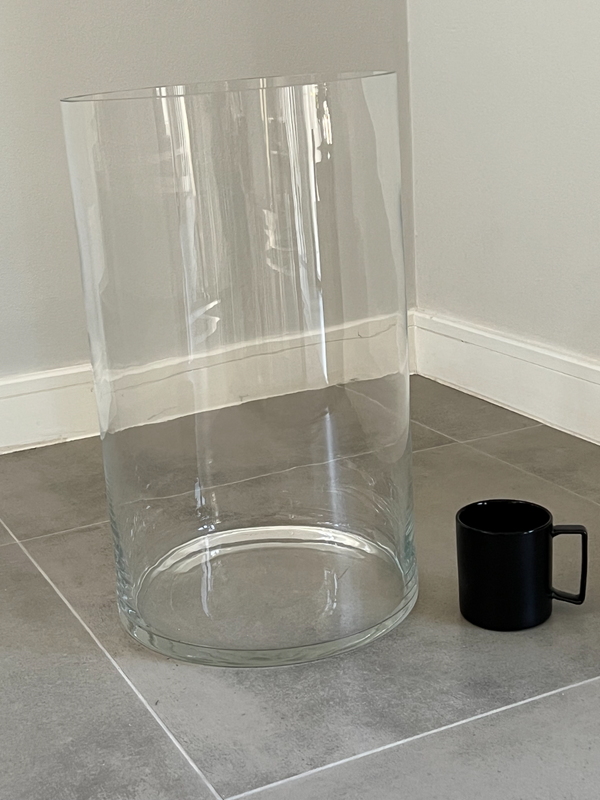 Glass Vase (Clear XL)