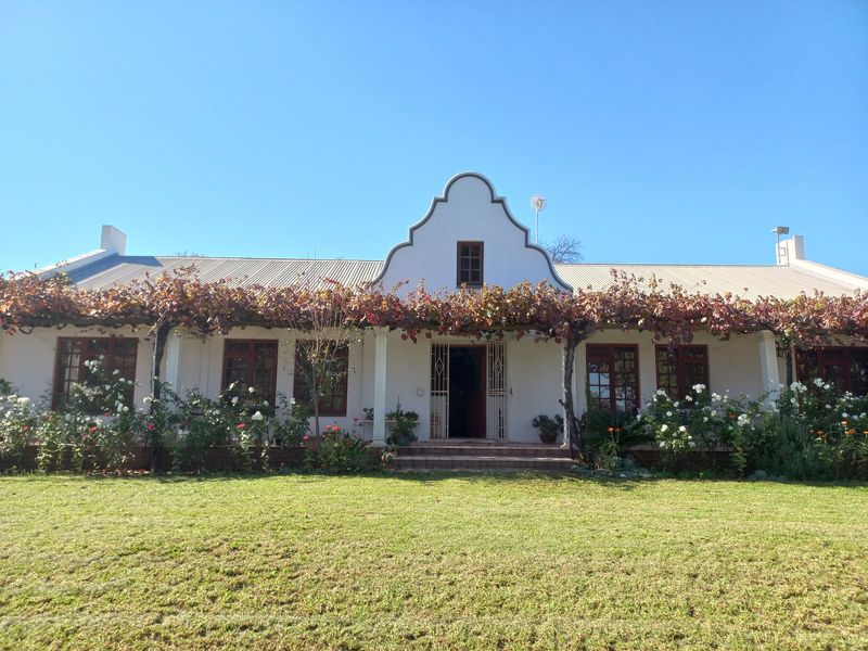 FOUR BEDROOMED HOUSE/LIFE STYLE FARM FOR SALE SITUATED IN CALITZDORP WESTERN CAPE