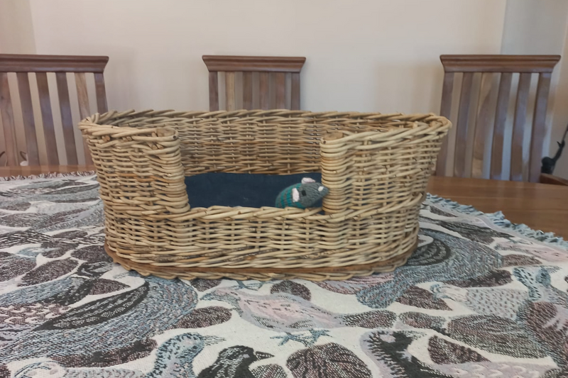 Cane pet sleeping basket
