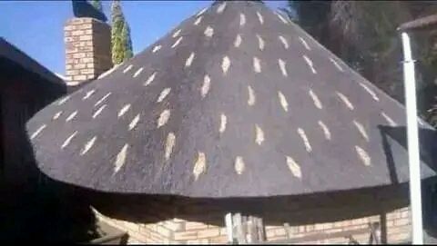 Thatch roof and all repair