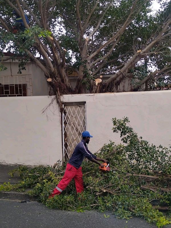 RELIABLE TREE FELLING AND UNWANTED STUFF REMOVAL