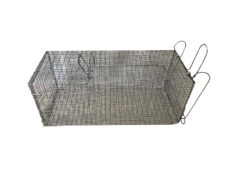 Cat Capture Wire Cage