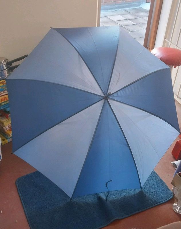 Large carry umbrella