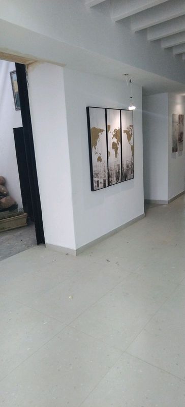 Painting,skkiming and water proofing.