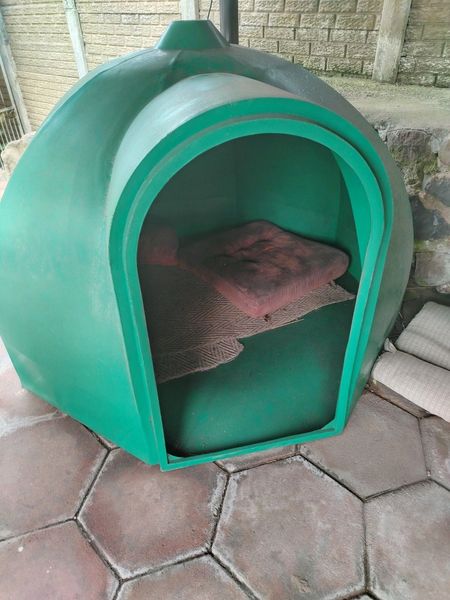 Green igloo dog kennels best sale