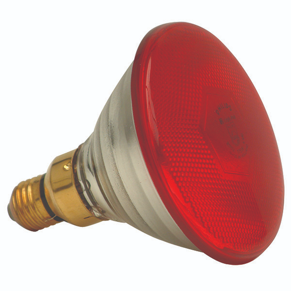 Philips Chicken Infra Red Lamp 175 Watt (100 Birds)  R210