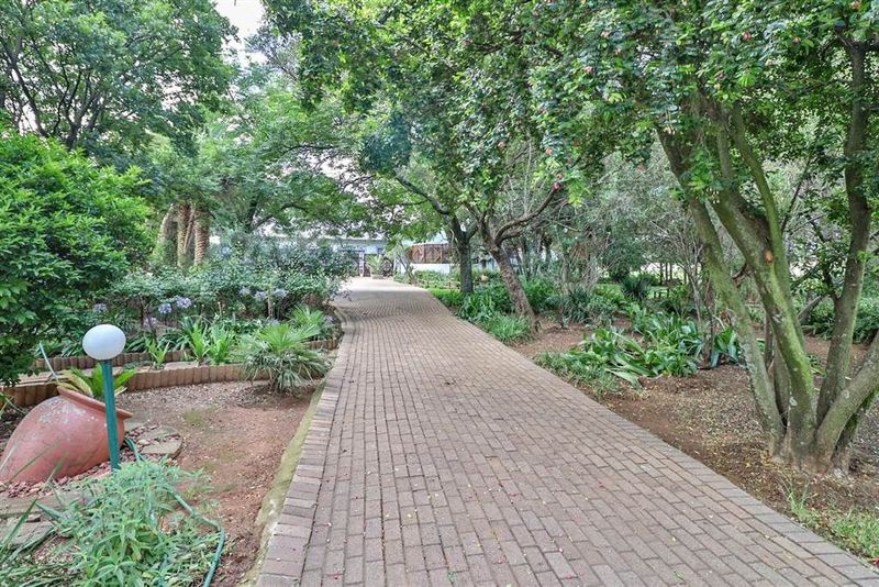 Potential galore, small Holding in Benoni AH, offering tranquil country living