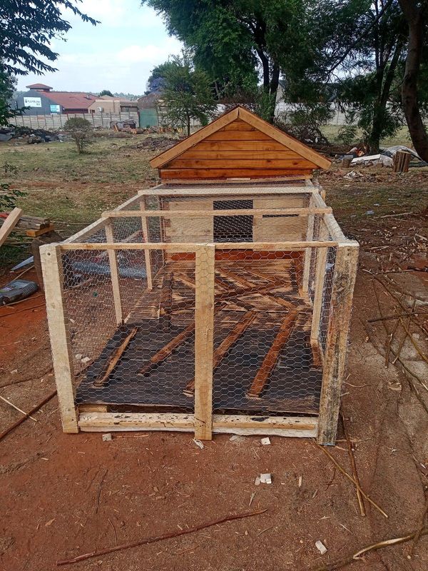 Chicken cages