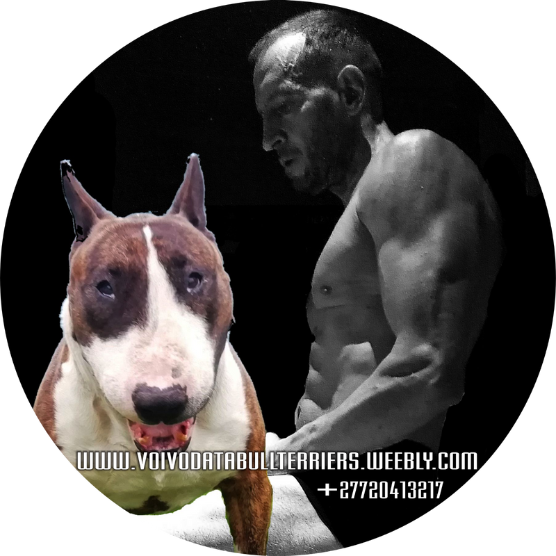 Personal Trainer ONLY