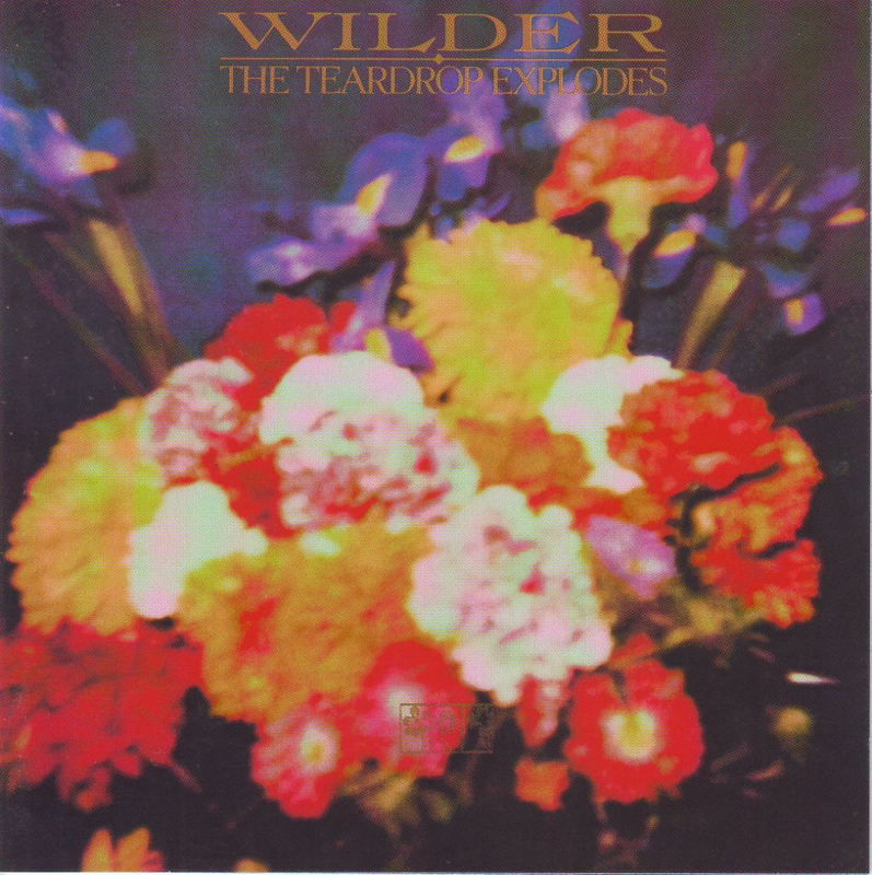 Teardrop Explodes - Wilder (CD)