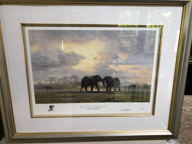 David Shepherd - African Wildlife Art. Signed limited edition prints.