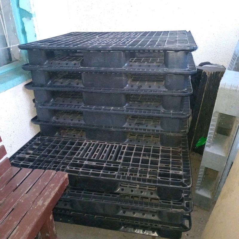 Plastic pallets in stock for sale