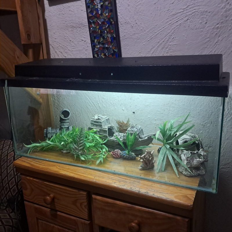 100L fish tank R900
