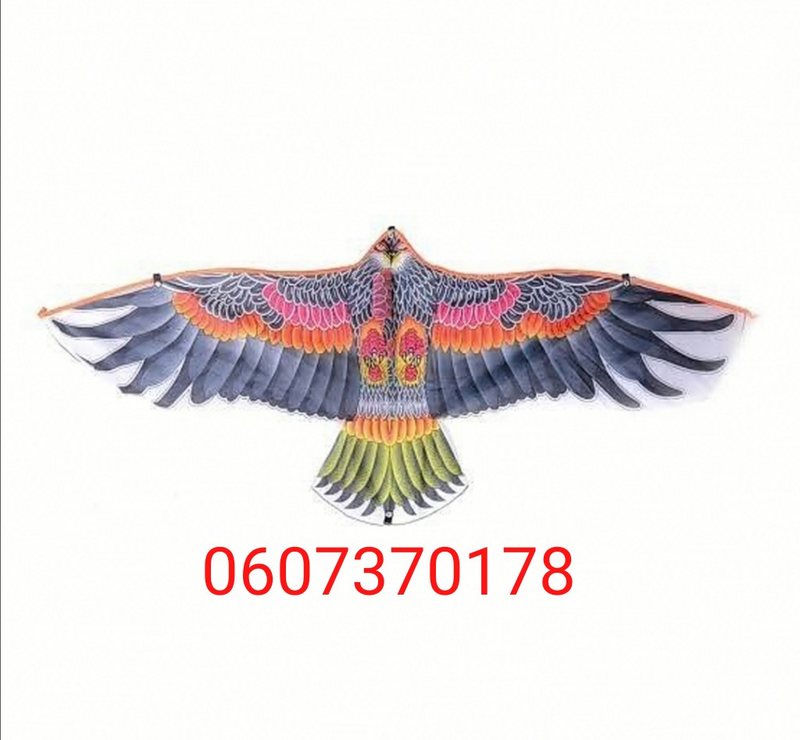 Kite Outdoor Eagle Flying Kite with 30 Metre Line (Brand New)
