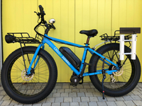 Gumtree fat bike on sale