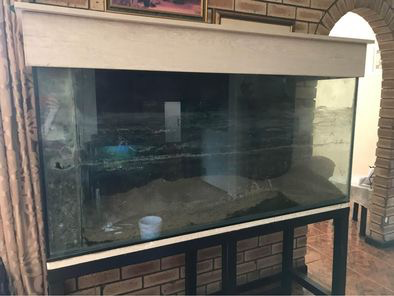 500 litre Fish Tank with Stand