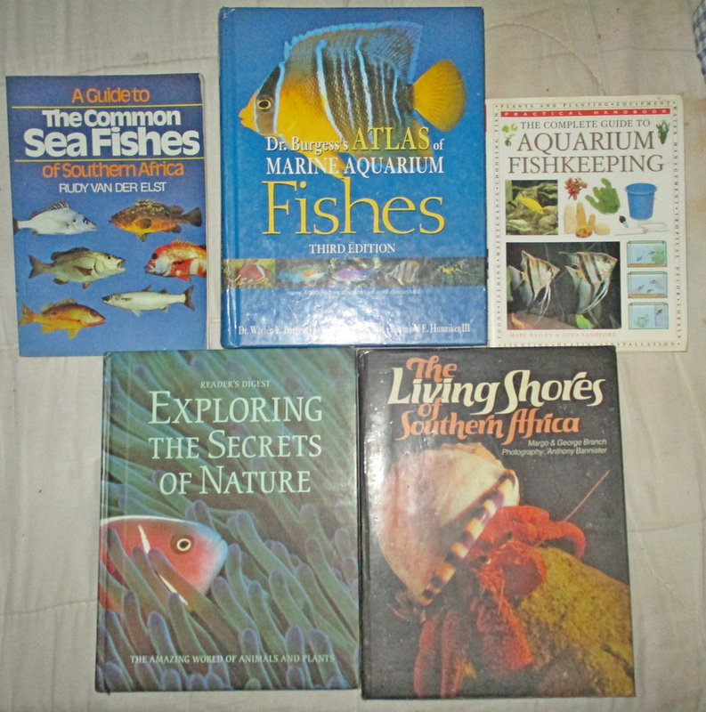 5 Fish Books and animals
