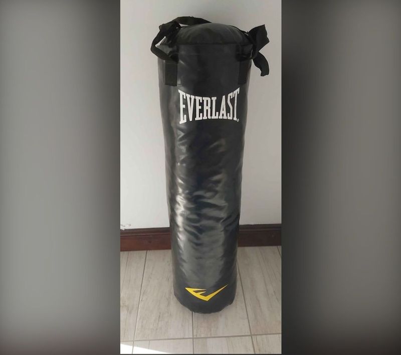 Everlast Punching Bag XL Boxing Gloves with Chain