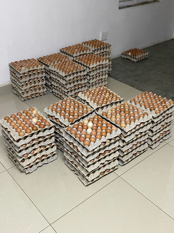 Medium eggs