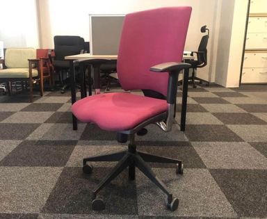 CECIL NURSE Ergonomic Office Chair - Great Condition