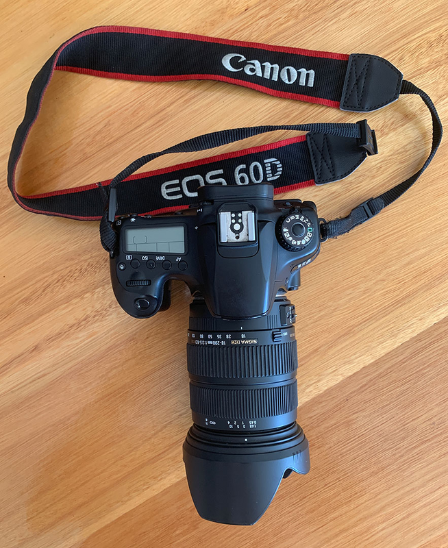 Canon 60D with Sigma 18 -200 zoom lens