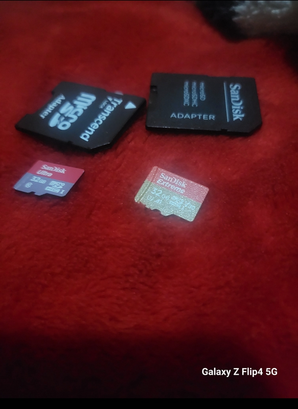 Sandisk 32gb microSD