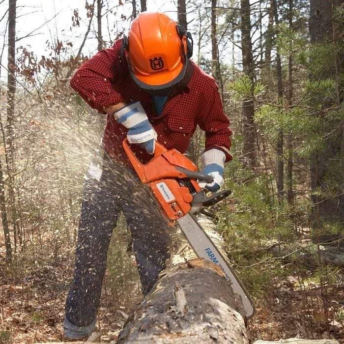 TREE FELLING SERVICE If you have unneeded tree on your house we do