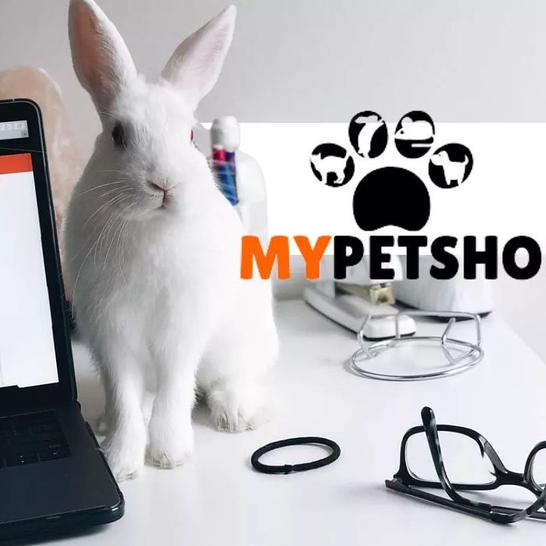 Website for Sale - My Pet Shop: Online Pet Supply Store