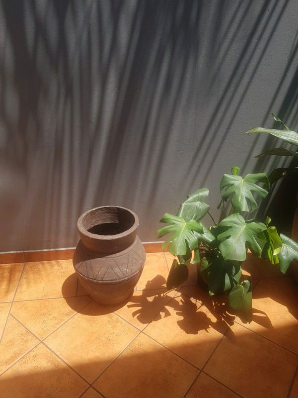 Garden pot 48cm high  x 38cm diameter