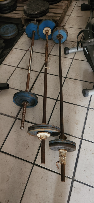 25kg Gym Weight Sets for Sale! R550 Each