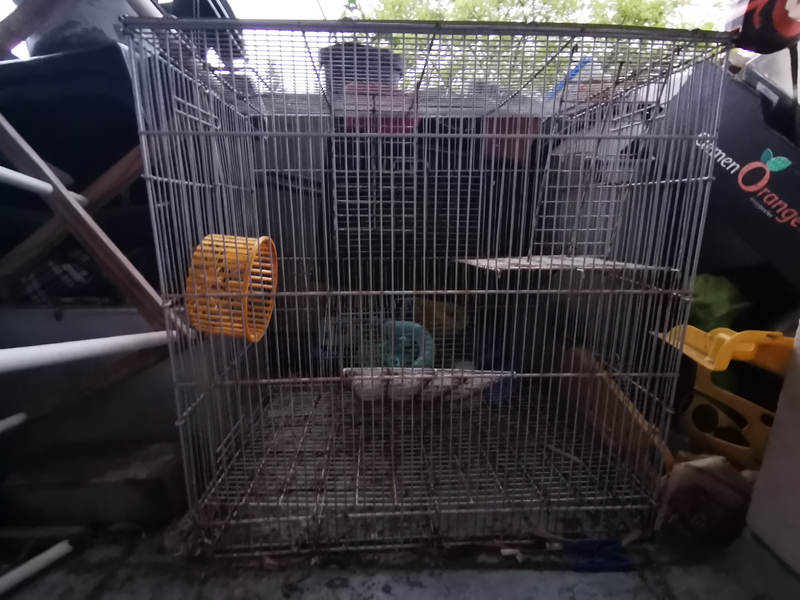 rat cage