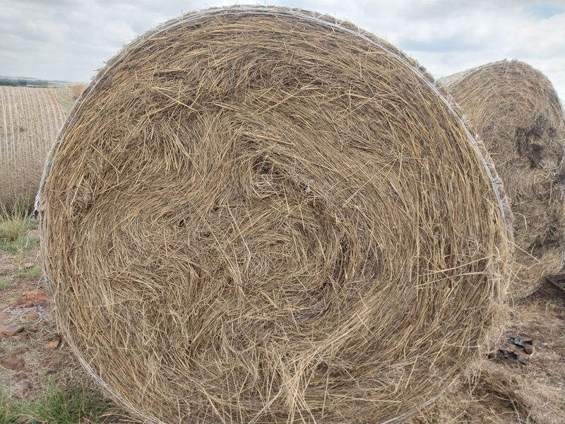 Round Grass Bales