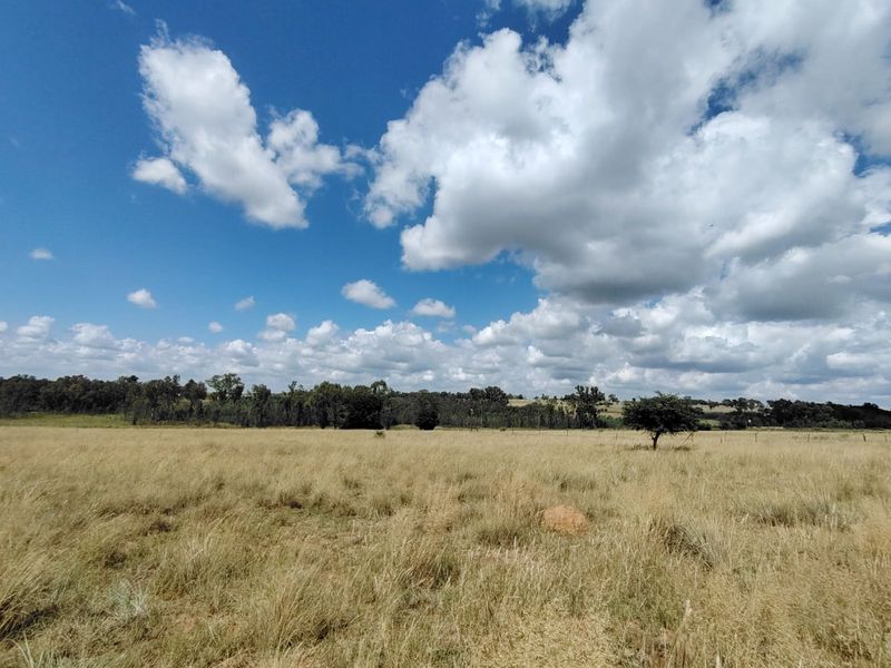 Looking for your dream farm near Cullinan? Look no further!