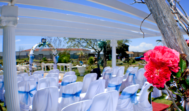 Begin Your Forever Here: Exquisite Venues, Divine Dining, and Dreamy Stays!
