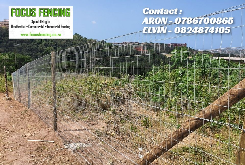 GALVANIZED WELD MESH WIRE FENCE WITH WOODEN POLES - FOR SALE