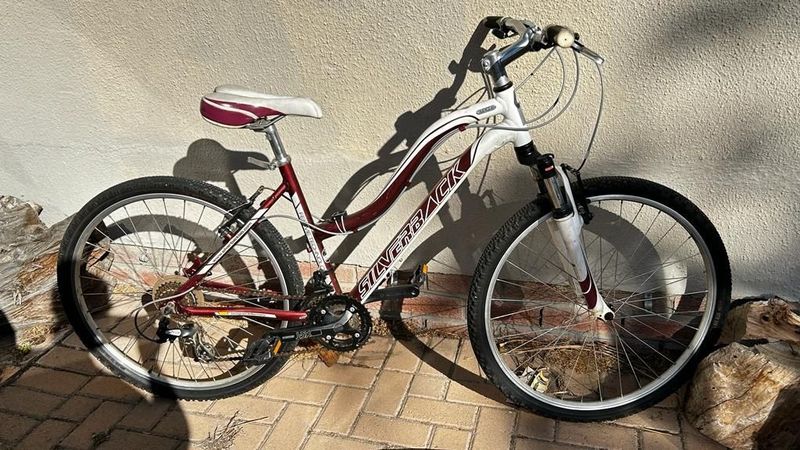 2 bicycles for sale, 26” and 29” lady and gentleman’s bicycles