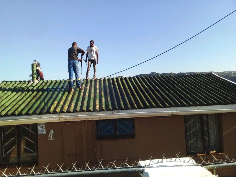 Roof Cleaners