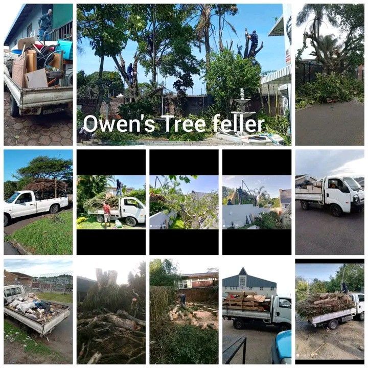 Owen tree cutting