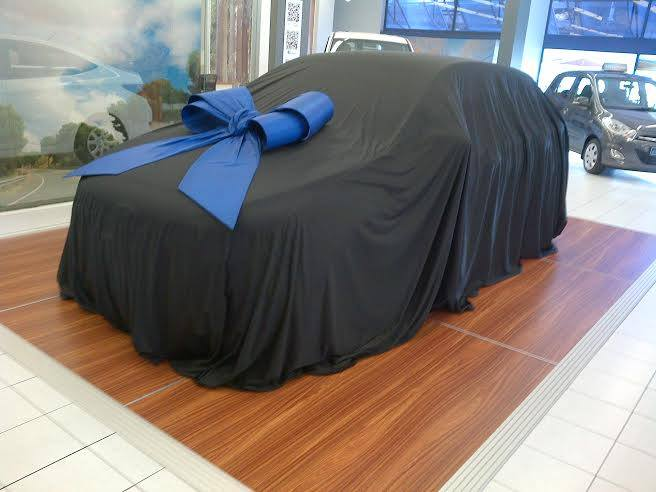 Car Covers and Bows ,Branding