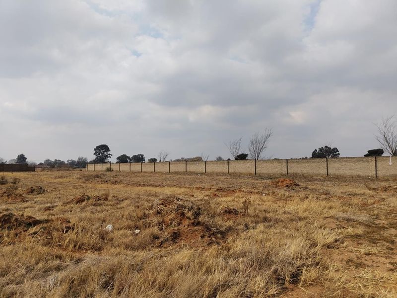 Build Your Dream Home on this Prime Vacant Stand - Ideal for Your Family&#39;s Future!