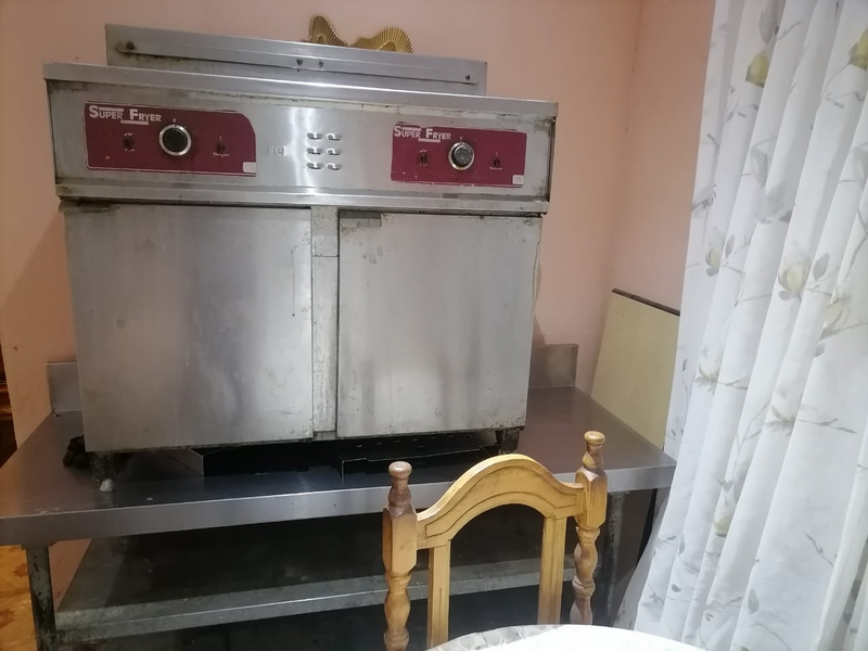 Electric fryer industrial