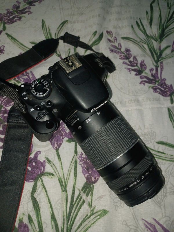 Canon 600 D  camera