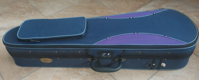 Violin set with carry-case