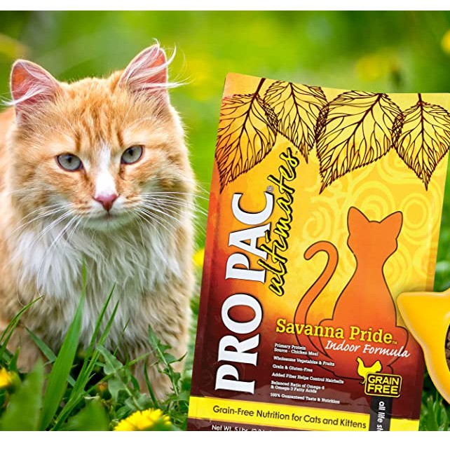 Cat Food-6 Kg – PRO PAC SAVANNA PRIDE Grain Free &amp; Gluten Free
