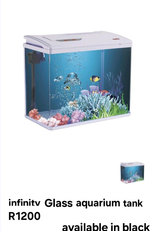 curved glass aquarium tank