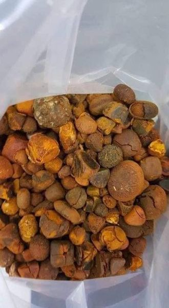 Cow gallstones for sale