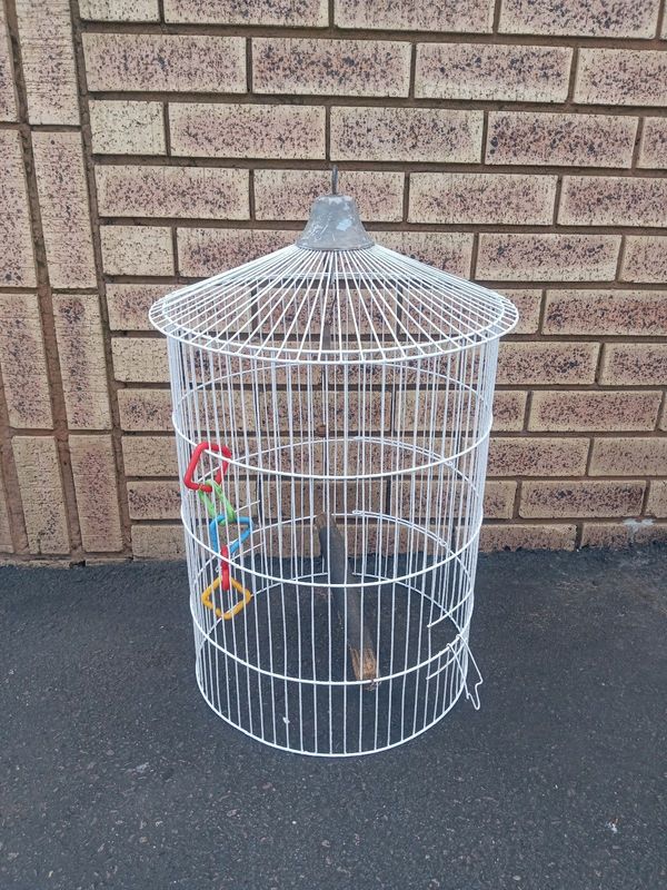 ROUND BIRD CAGE (NO BASE)