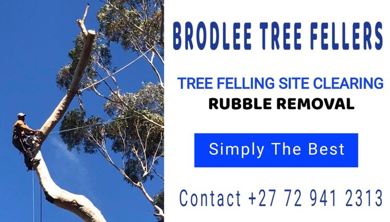 BRODLEE TREE FELLING AND SITE CLEARING