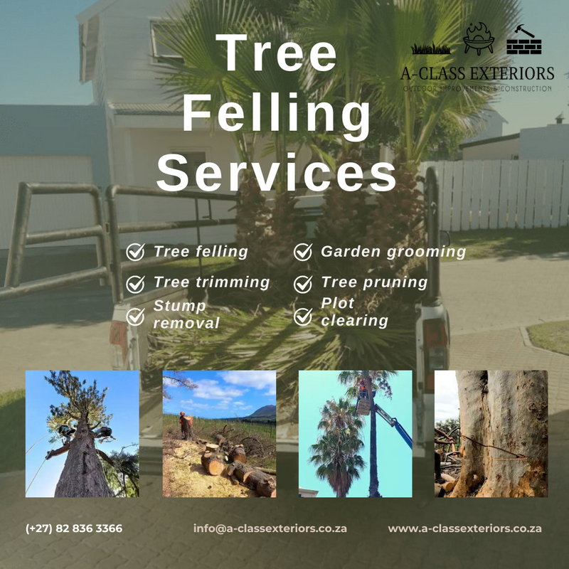 Tree felling and removal services